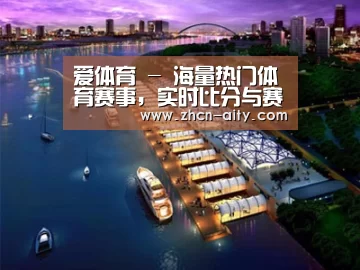 案例展示八