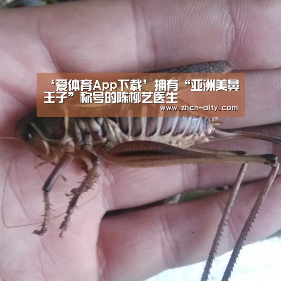 爱体育App下载
