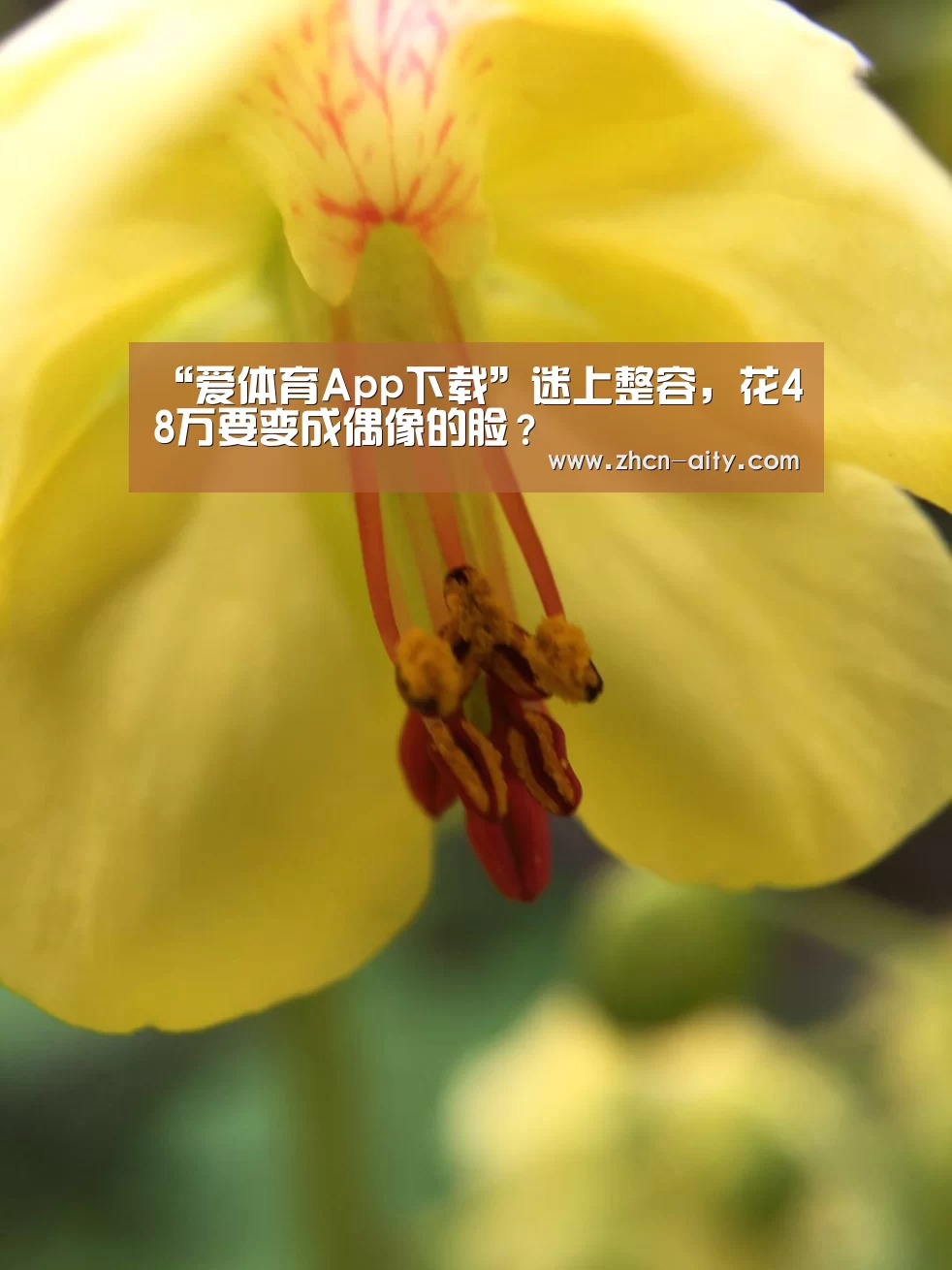 爱体育App下载